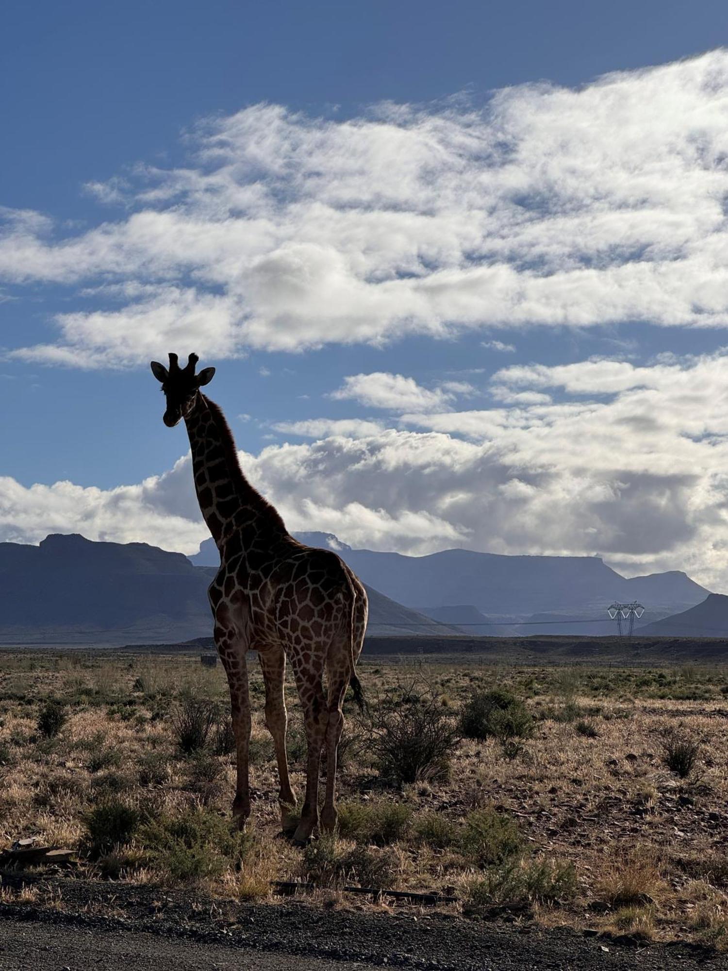 Teri-Lemveli Lodge Beaufort West Exteriör bild