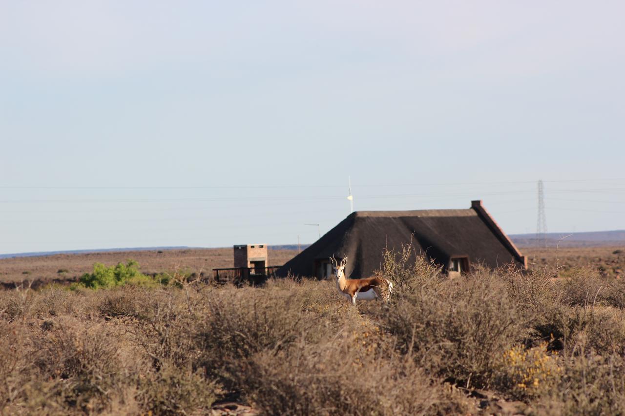 Teri-Lemveli Lodge Beaufort West Exteriör bild